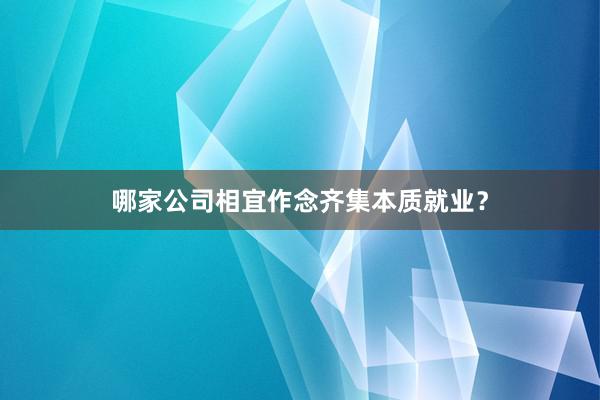 哪家公司相宜作念齐集本质就业？